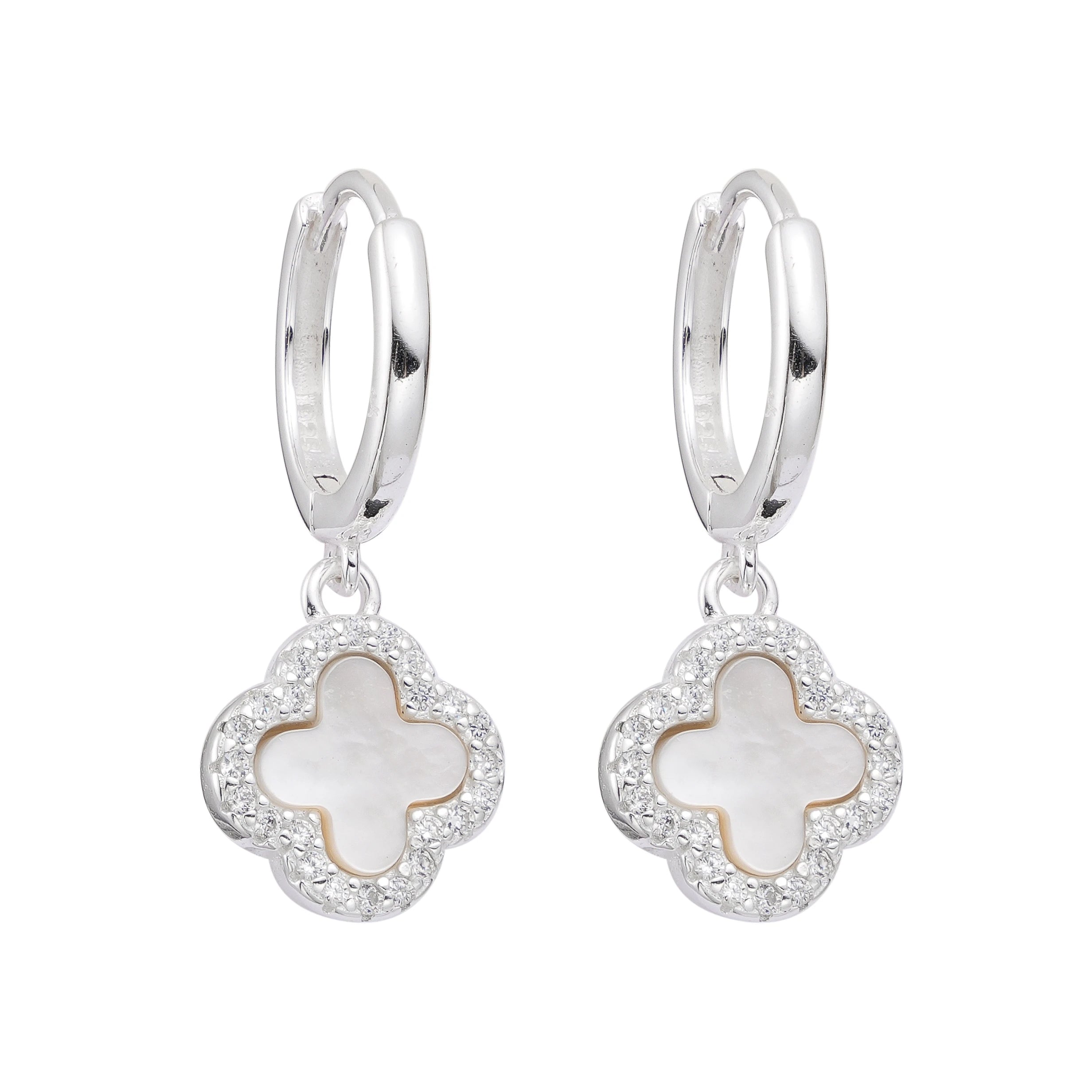 HUGGIES VAN NACAR SHINY