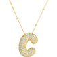COLLAR SAY MY NAME