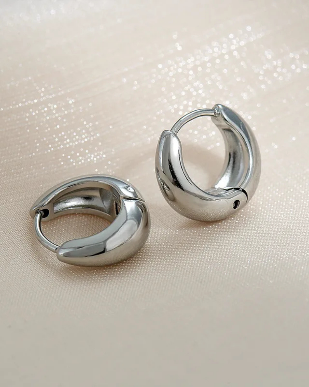 HOOPS CANASTITA SILVER