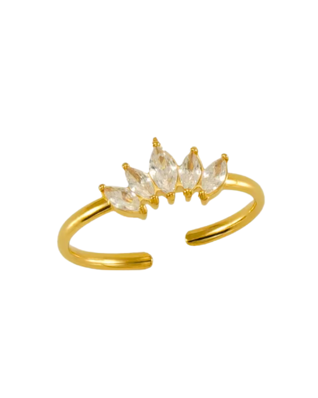 ANILLO ORDINO