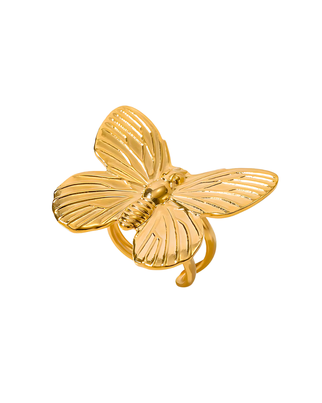 ANILLO MONARCA