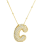 COLLAR SAY MY NAME