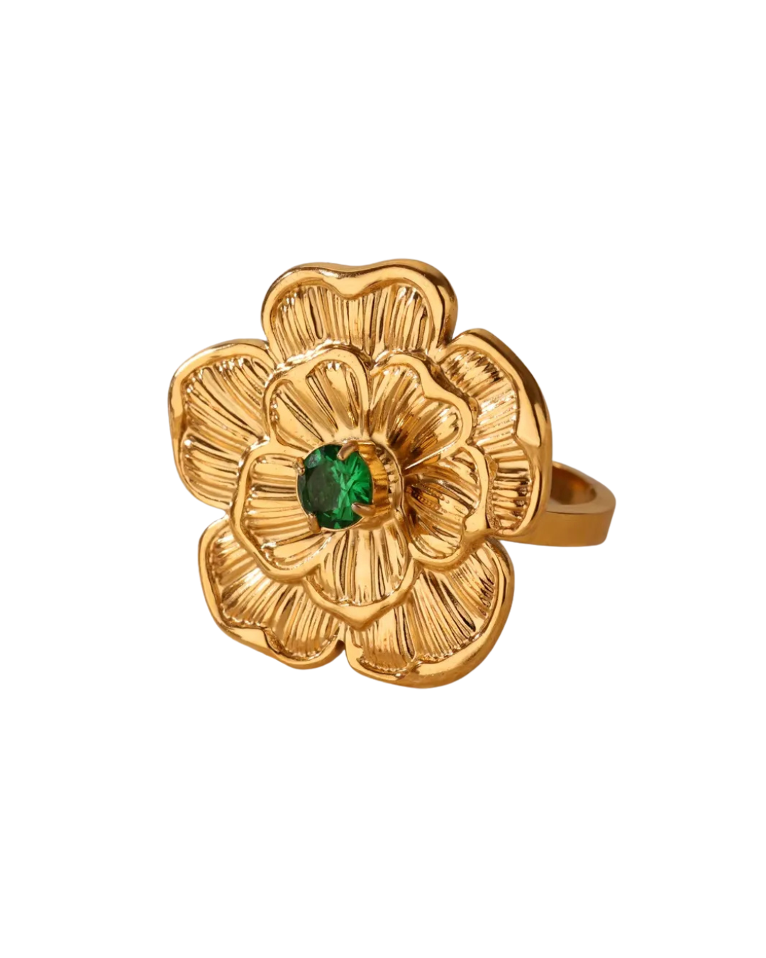 ANILLO RAQUEL