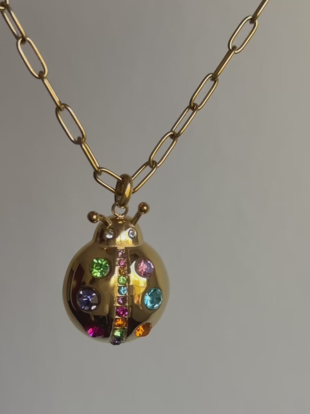 COLLAR LADY BUG